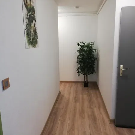 Apartment Grand T3 Avec Clim, Parking Et Terrasse Privative - *